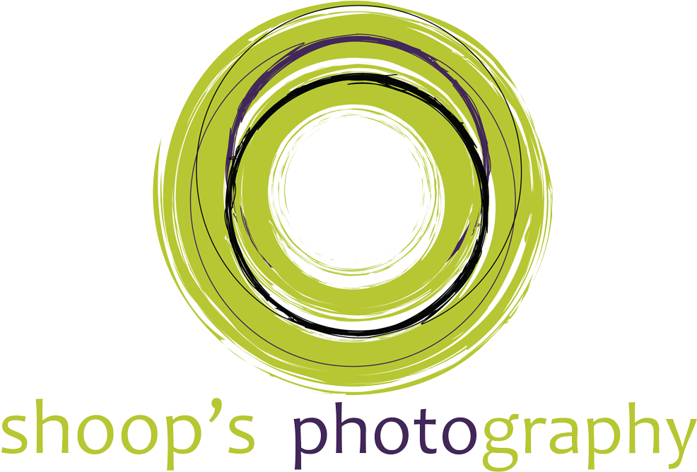 Mercury Logo Automobile Company Svg Source - Photography (1000x754), Png Download