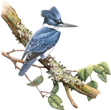 Bd-27 - Illustration (400x400), Png Download