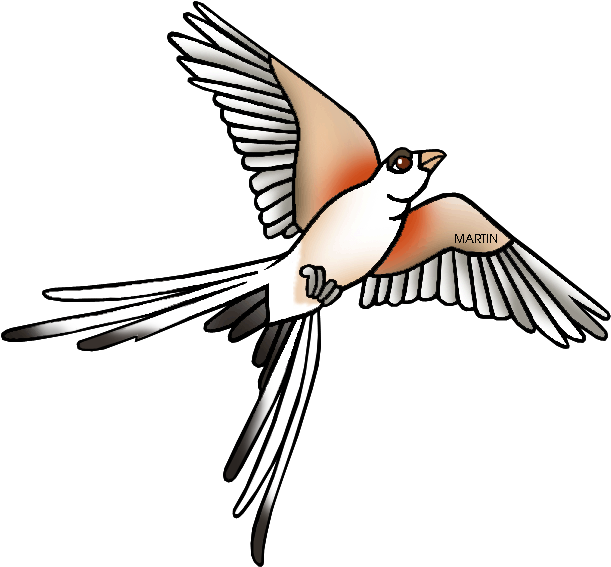 Kingfisher Clipart Ibon - Scissor Tailed Flycatcher Clipart (648x594), Png Download