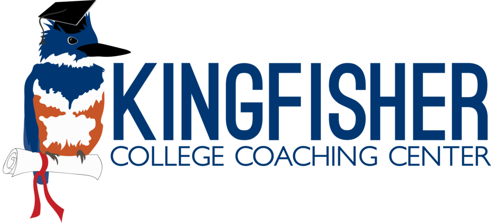 Kingfisher Png (1000x454), Png Download