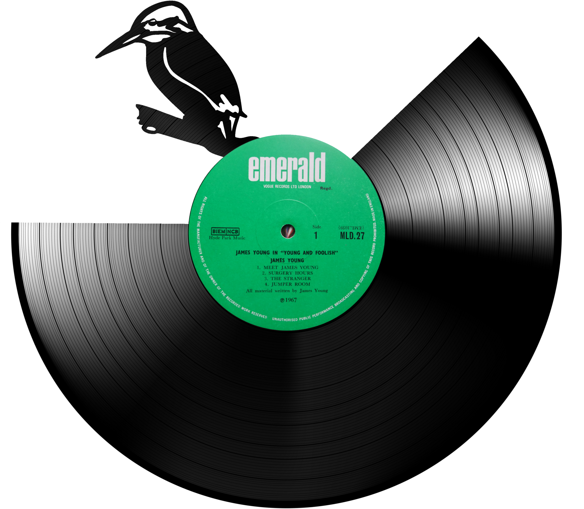 Kingfisher V=1530833816 - Seabird (2048x1981), Png Download