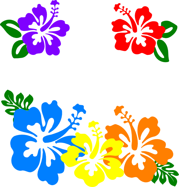 Hibiscus Clipart Colorful Flower - Hibiscus Flowers Clipart Png (570x596), Png Download