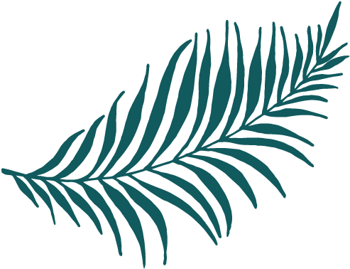 About Aqua Floral Design (500x383), Png Download