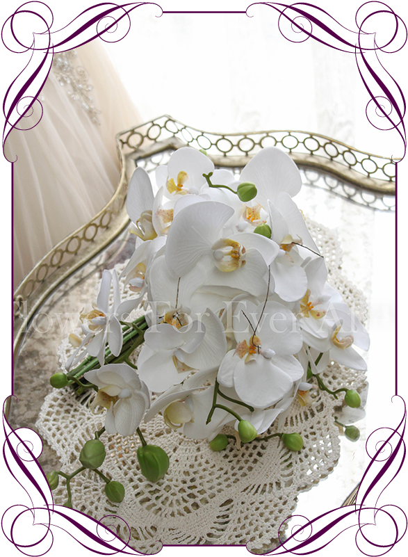Contemporary Simple Falling Phalaenopsis Orchid Cascading - Flower (608x822), Png Download