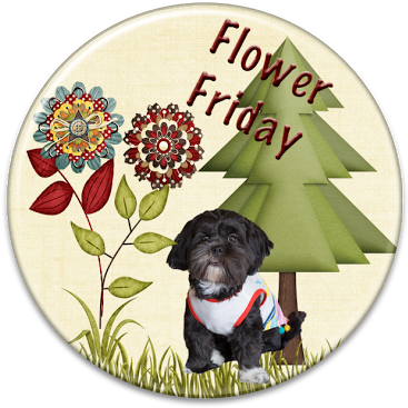 Fall Flower Friday - Blog (640x415), Png Download