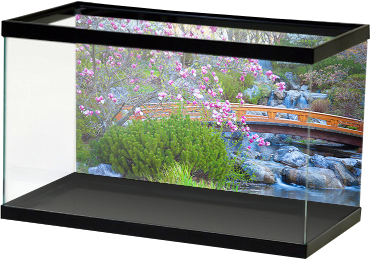 Fresh Japanesegarden (800x800), Png Download