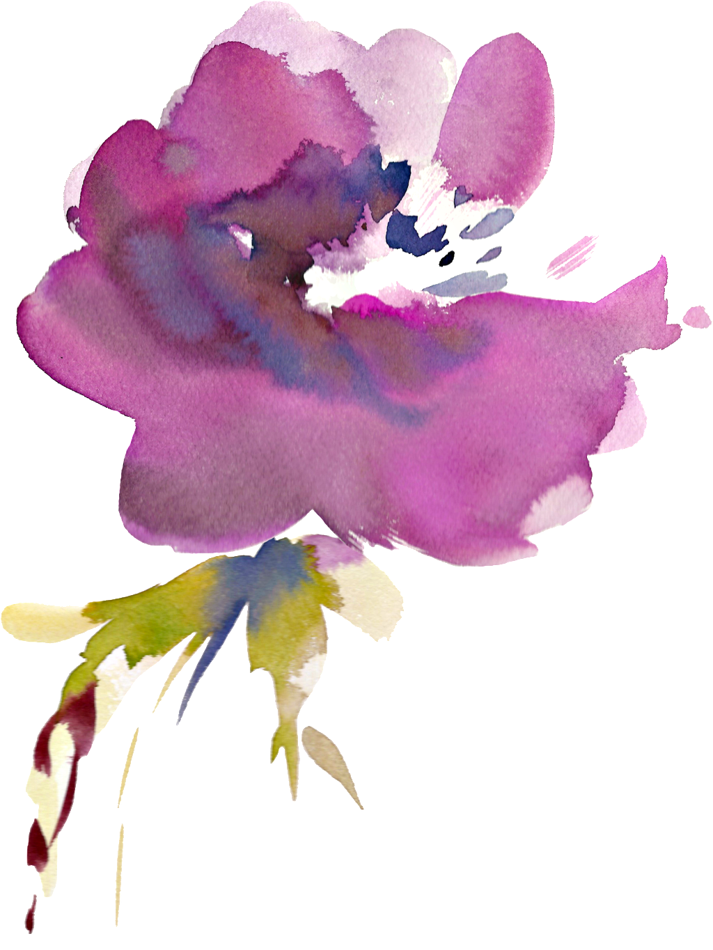 Purple Blooming Flower Transparent Ornamental Material - Watercolor Painting (1024x1365), Png Download