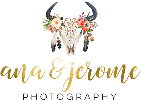 Cabo Wedding Photographers Ana & Jerome - Bull Skull With Feathers (500x357), Png Download