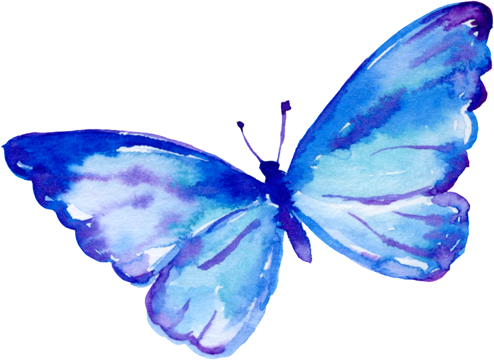 Flying Butterfly Cartoon Transparent - Flying Butterfly Cartoon (1024x734), Png Download