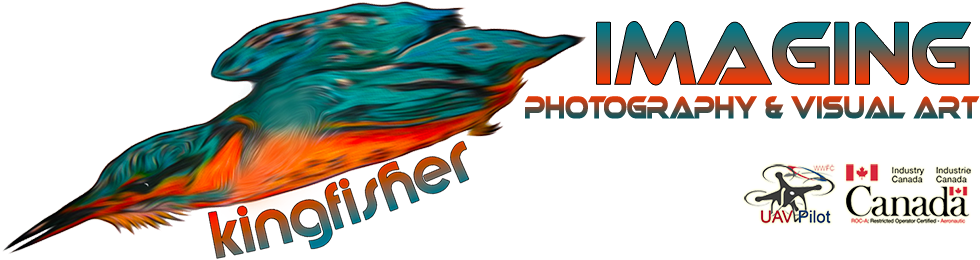 Kingfisherimaging - Federal Economic Development Initiative For Northern (1000x283), Png Download