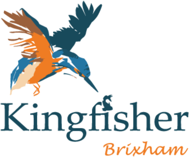 Kingfisher Brixham (725x556), Png Download