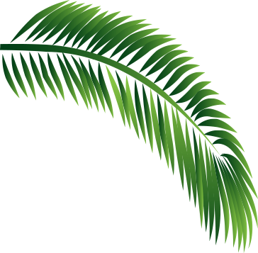 Decorative Leaf - Babassu (364x357), Png Download