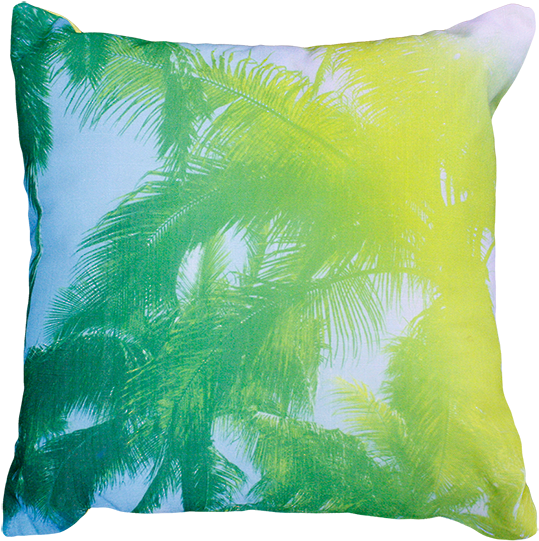 22614c Coconut Leaves - Coconut (550x550), Png Download