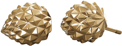 Pine Cone Studs - Earrings (770x405), Png Download