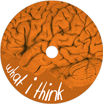 Cd Design - Central Sulcus Real Brain (600x400), Png Download