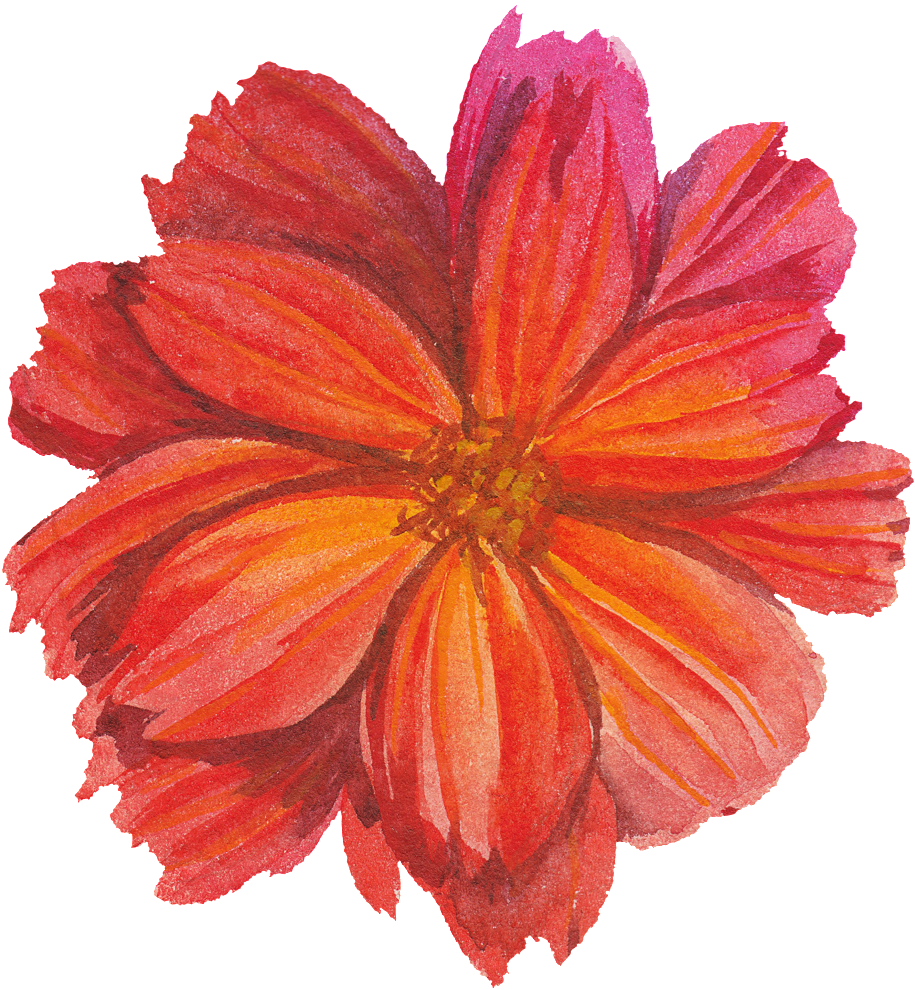 Red Flower Watercolor Transparent Flower - Flower (1024x1024), Png Download