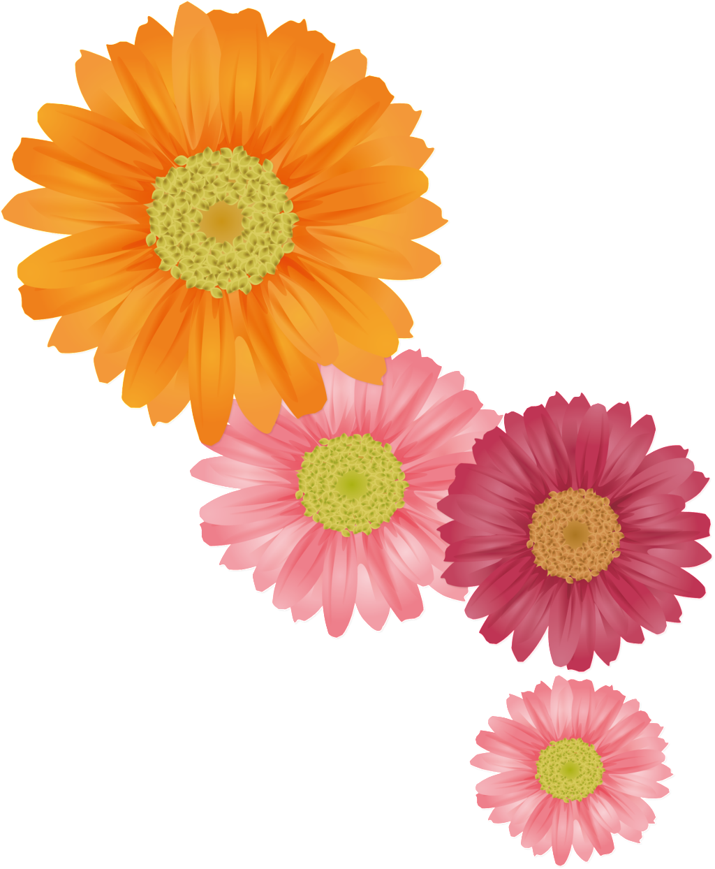 Fresh Orange Hand Painted Chrysanthemum Decorative - Daisy Flower Vector Psd (1024x1244), Png Download