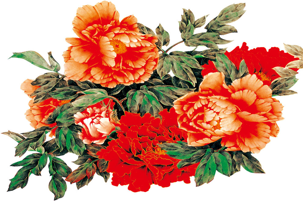 Flower Hd Png Free Files - Gearbest Peony Pattern Linen Decorative Pillow Case (1024x1024), Png Download