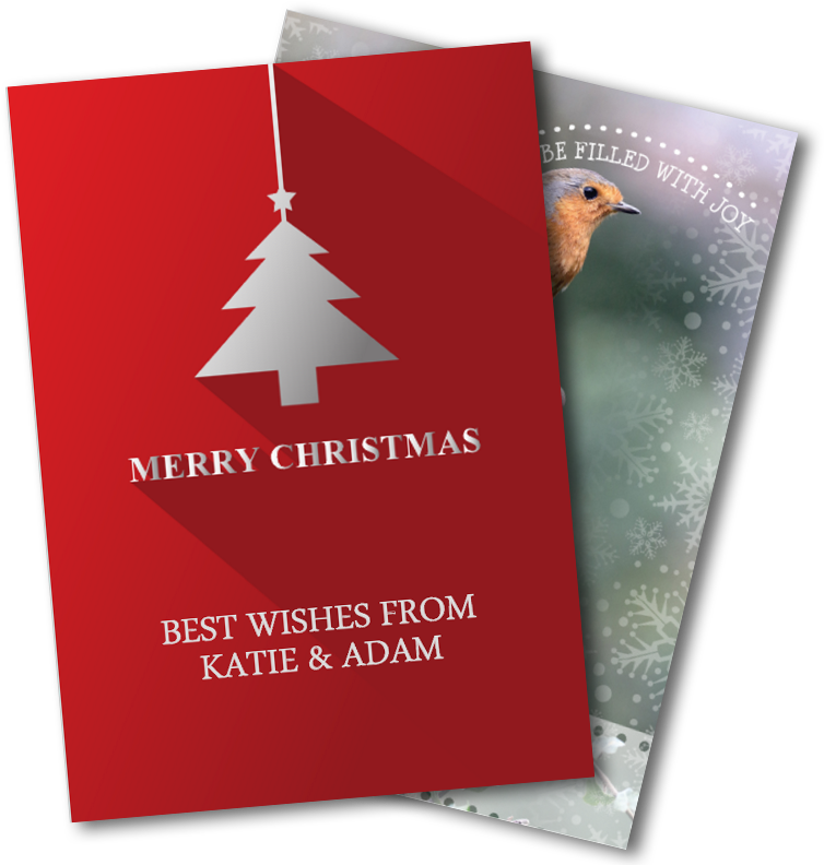 Christmas - Birthday (800x800), Png Download