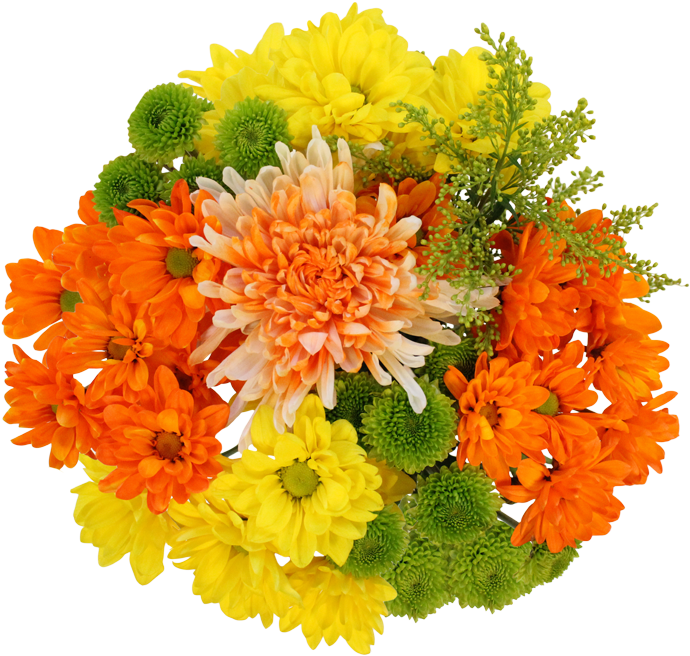 Flower (800x743), Png Download