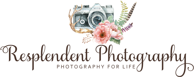 Resplendent Photography - Photography Camera Png For Logo (648x263), Png Download