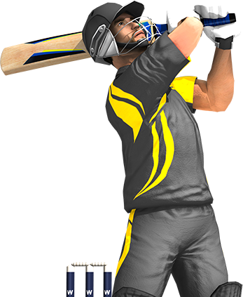 People - Cricket Game Png (347x423), Png Download