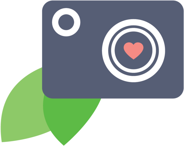 Logo Design For Dillon Phantharangsy Photography (1000x911), Png Download