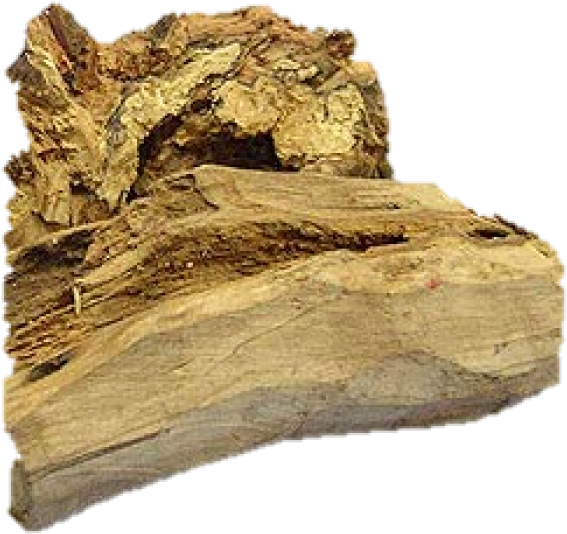 Sandal Wood Oil (700x700), Png Download