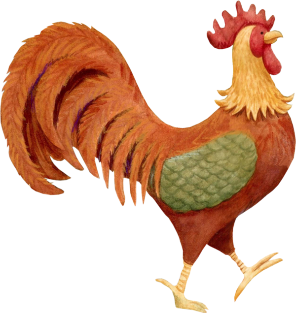 Hen Clipart Poule - سكرابز ديك (600x636), Png Download