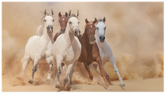 Union Rustic 'running Horses (style 2)' Graphic Art (400x400), Png Download