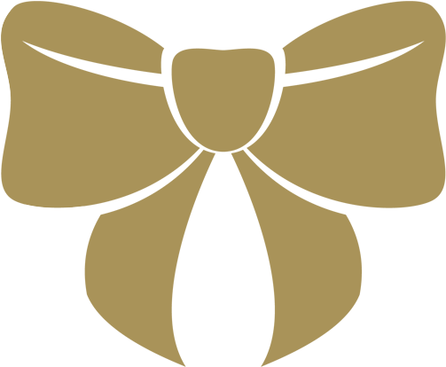 Micheline's Story - Shoelace Knot (525x440), Png Download