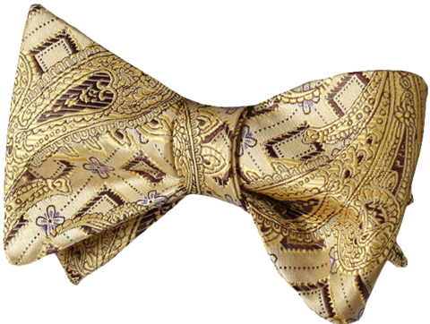 Galvanize Gold Bow Tie - Banana Republican Stafc002y Yellow Gold Brown Paisley (480x362), Png Download