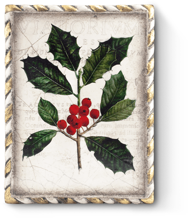 Winterberry No Image Available - Holly (450x450), Png Download