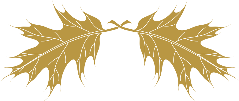 Leaves - Illustration (800x361), Png Download