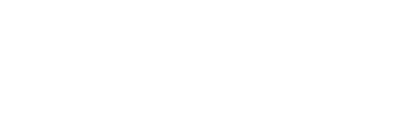 Fleche - Display Device (806x262), Png Download