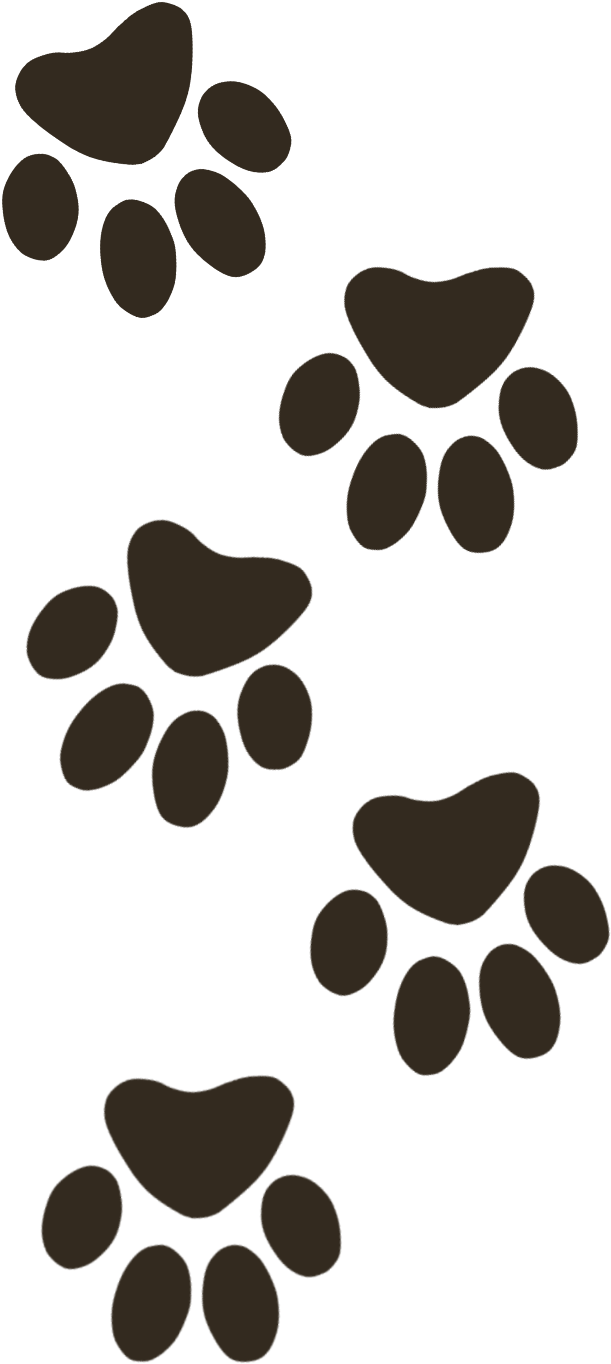 4 Paws - Paw (618x1371), Png Download