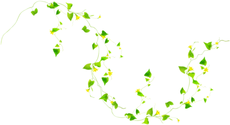 Trees To Plant, Tree Planting, Leaves, Plants, Flower, (500x311), Png Download