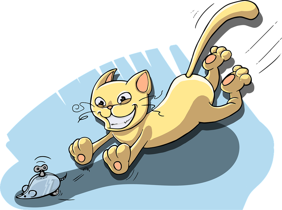 Cat (960x715), Png Download
