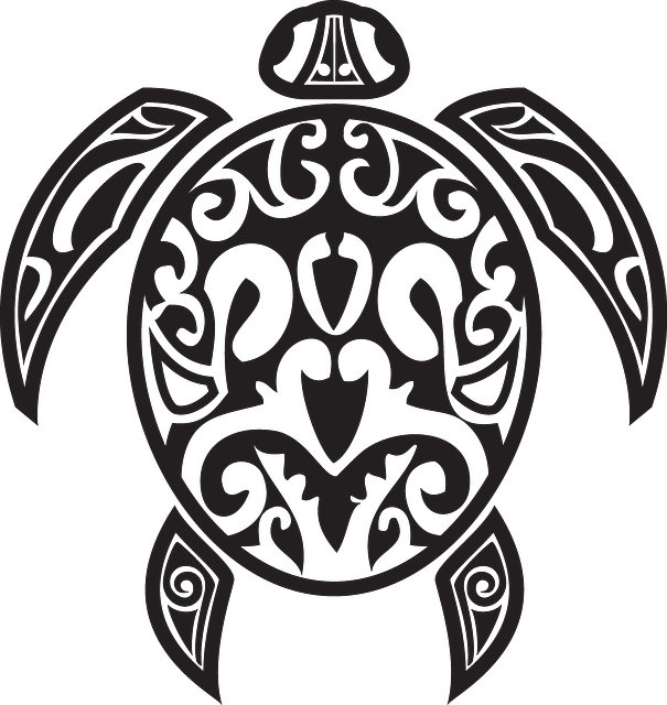 Totem Drawing Turtle - Native American Turtle Vector (605x640), Png Download