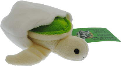 Zoom Green Turtle Hatchling Plush Toy With Attached - Turtle Plush Png (500x500), Png Download