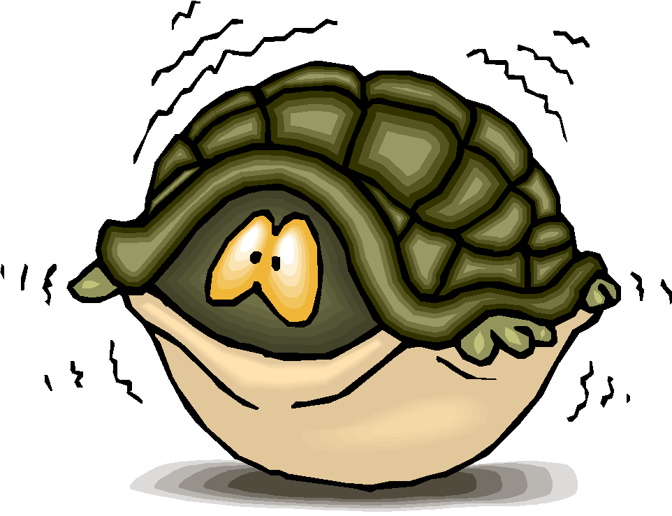 Image Turtle - Turtle Inside Shell Cartoon (962x739), Png Download