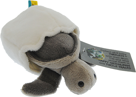 Moonlight Grey Turtle Hatchling Plush Toy With Attached - Doll (500x500), Png Download