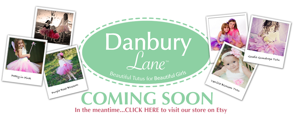 Danbury Lane Logo - Camino Real (1000x400), Png Download