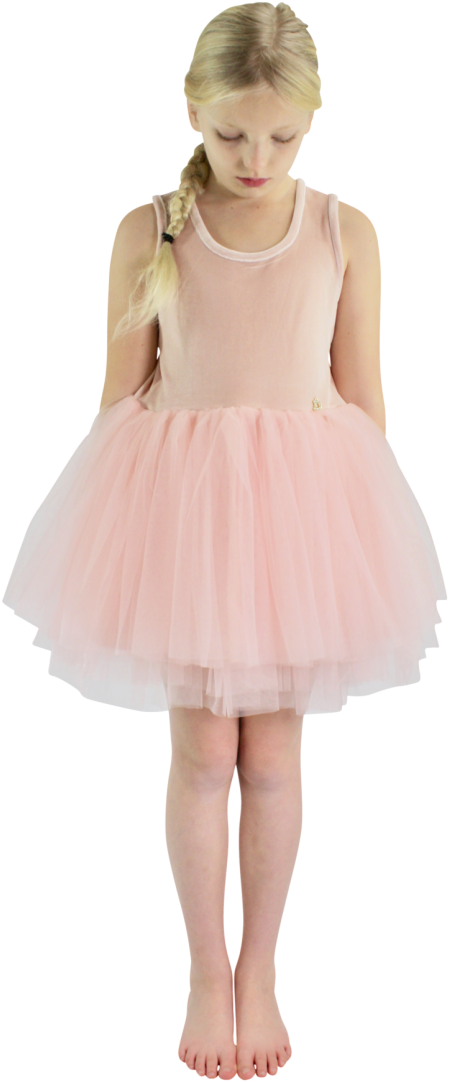 Dolly By Le Petit Tom Velvet Essential Tutu Dress Ballet - Dress (497x1200), Png Download