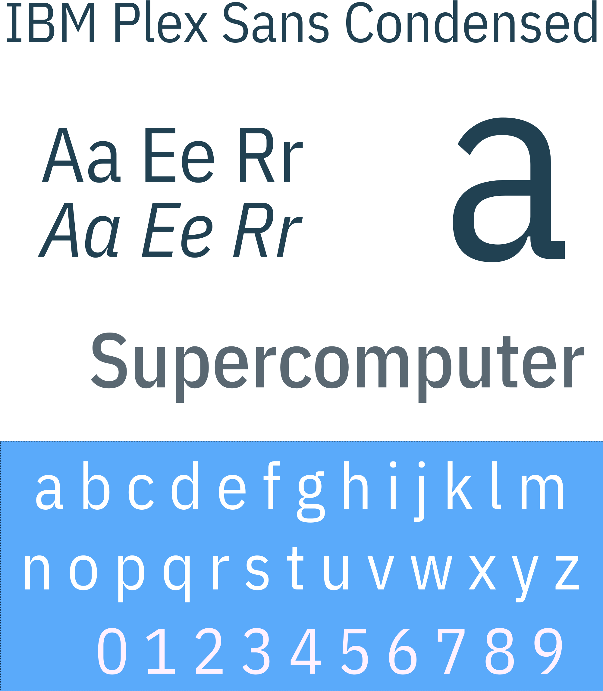 Open - Ibm Plex Serif V (2000x2364), Png Download