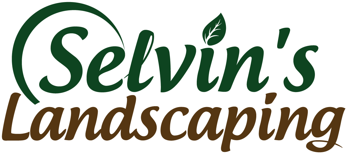 Selvin's Landscaping - Positive Thinking: Secrets For Creating An Abundant (1266x579), Png Download