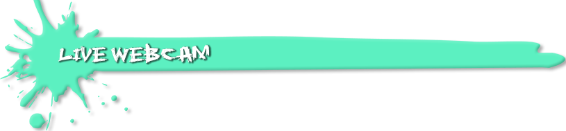 Live Webcam - Webcam (815x189), Png Download