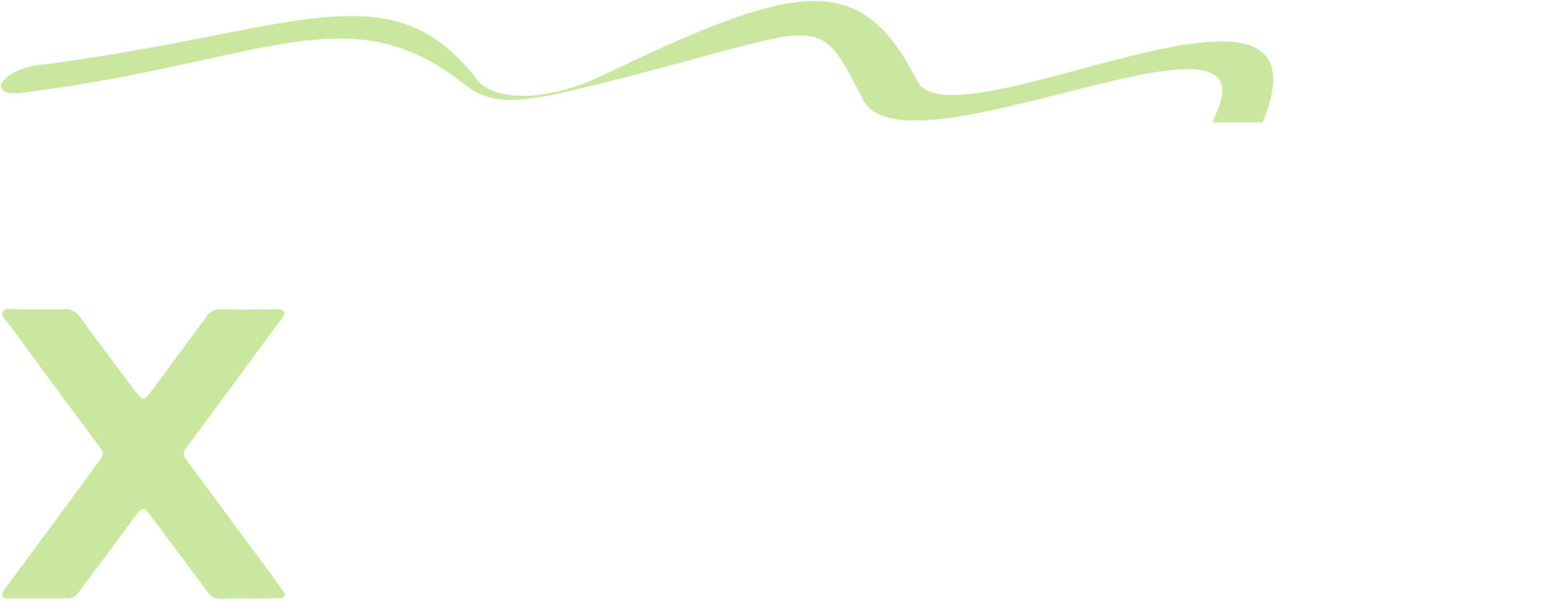 Wordpress Logo Clipart Word - Live Express News (1920x759), Png Download