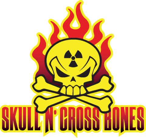 Skull N' Cross Bones - Skull (480x452), Png Download
