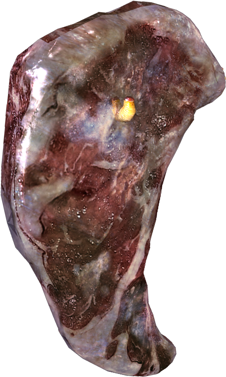 Zombie Flesh Render - Call Of Duty Zombies The Flesh (1352x1391), Png Download